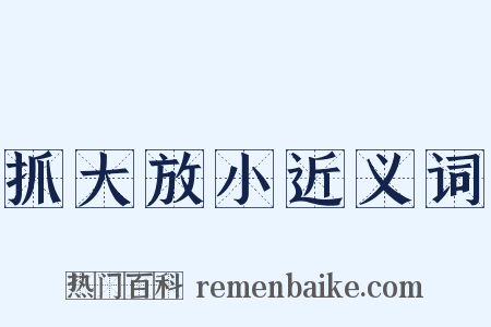 抓大放小近义词是什么意思的图片